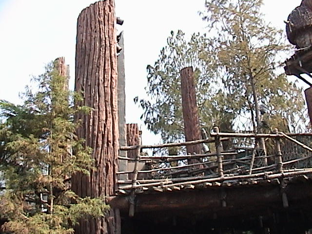WDW00-13-Endor_tree_village_1.jpg