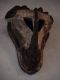 WDW00-20-antelope_head_sculpture_2-thumbnail.jpg