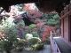 Japan00-035-Bishamon-do_exterior_1-thumbnail.jpg