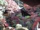 Japan00-036-Bishamon-do_exterior_2-thumbnail.jpg
