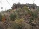 Japan00-054-Kyoto_park_6-thumbnail.jpg