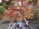 Japan00-104-Maruyama_park_2-thumbnail.jpg