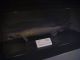 Japan02-16-frilled_shark-thumbnail.jpg