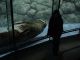 Japan02-20-Setsuko_and_walrus-no_flash-thumbnail.jpg
