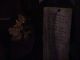 Japan02-39-Country_Bears_theming_5-thumbnail.jpg