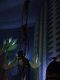 Japan02-49-Small_World_09-thumbnail.jpg