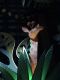 Japan02-50-Small_World_10-thumbnail.jpg
