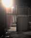 20070119-Tower_Hollywood-58-thumbnail.jpg