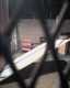 20070119-Tower_Hollywood-59-thumbnail.jpg