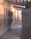 20070128a-Tower_Laguna_Hills-Treo-12-thumbnail.jpg