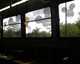 WDW_20090516-003-in_bus_from_Pop_Century_to_Animal_Kingdom_bus-thumbnail.jpg