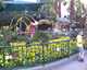 WDW_20090516-140-International_Flower_and_Garden_Festival_display_at_Epcot-thumbnail.jpg
