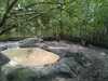 JacksonvilleZoo_0372-thumbnail.jpg