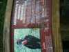 JacksonvilleZoo_0377-thumbnail.jpg