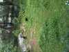 JacksonvilleZoo_0379-thumbnail.jpg