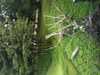 JacksonvilleZoo_0381-thumbnail.jpg