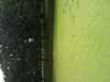 JacksonvilleZoo_0382-thumbnail.jpg