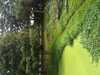 JacksonvilleZoo_0383-thumbnail.jpg