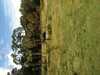 JacksonvilleZoo_0385-thumbnail.jpg