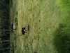 JacksonvilleZoo_0387-thumbnail.jpg