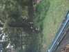 JacksonvilleZoo_0390-thumbnail.jpg