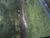 JacksonvilleZoo_0392-thumbnail.jpg