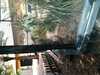 JacksonvilleZoo_0394-thumbnail.jpg
