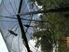 JacksonvilleZoo_0395-thumbnail.jpg