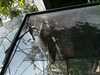 JacksonvilleZoo_0397-thumbnail.jpg