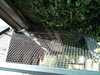 JacksonvilleZoo_0398-thumbnail.jpg