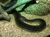 JacksonvilleZoo_0399-thumbnail.jpg