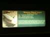JacksonvilleZoo_0403-thumbnail.jpg
