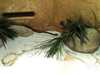 JacksonvilleZoo_0417-thumbnail.jpg