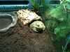 JacksonvilleZoo_0420-thumbnail.jpg