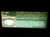 JacksonvilleZoo_0421-thumbnail.jpg