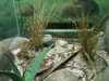 JacksonvilleZoo_0424-thumbnail.jpg