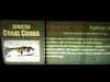 JacksonvilleZoo_0425-thumbnail.jpg