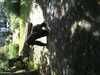 JacksonvilleZoo_0429-thumbnail.jpg