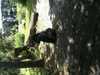 JacksonvilleZoo_0430-thumbnail.jpg