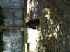JacksonvilleZoo_0431-thumbnail.jpg