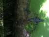 JacksonvilleZoo_0432-thumbnail.jpg