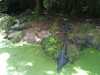 JacksonvilleZoo_0434-thumbnail.jpg