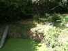 JacksonvilleZoo_0435-thumbnail.jpg