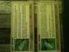 JacksonvilleZoo_0436-thumbnail.jpg