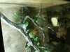 JacksonvilleZoo_0437-thumbnail.jpg