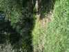 JacksonvilleZoo_0438-thumbnail.jpg