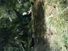 JacksonvilleZoo_0442-thumbnail.jpg