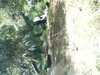 JacksonvilleZoo_0443-thumbnail.jpg