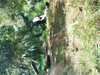 JacksonvilleZoo_0444-thumbnail.jpg