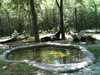 JacksonvilleZoo_0445-thumbnail.jpg